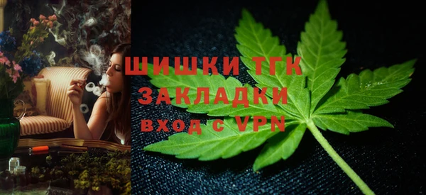 тгк Арсеньев