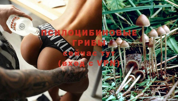 mix Армянск